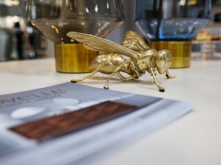 FR_20230920_0180.jpg